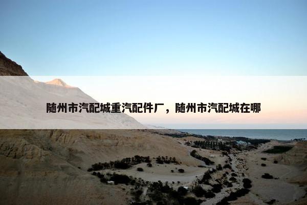 随州市汽配城重汽配件厂，随州市汽配城在哪