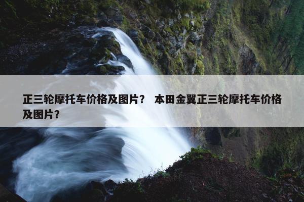 正三轮摩托车价格及图片？ 本田金翼正三轮摩托车价格及图片？