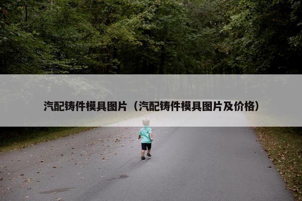 汽配铸件模具图片（汽配铸件模具图片及价格）