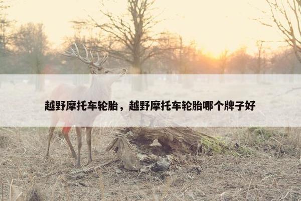 越野摩托车轮胎，越野摩托车轮胎哪个牌子好
