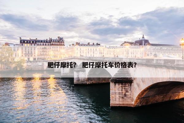 肥仔摩托？ 肥仔摩托车价格表？