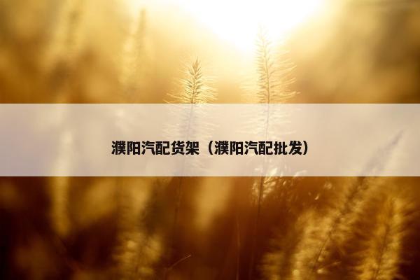 濮阳汽配货架（濮阳汽配批发）