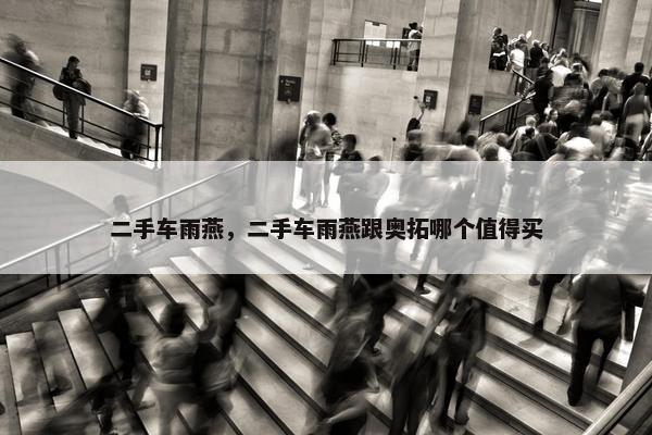 二手车雨燕，二手车雨燕跟奥拓哪个值得买