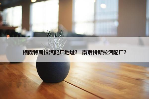 栖霞特斯拉汽配厂地址？ 南京特斯拉汽配厂？