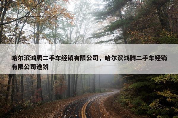 哈尔滨鸿腾二手车经销有限公司，哈尔滨鸿腾二手车经销有限公司途锐
