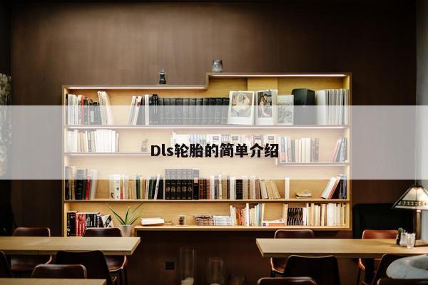 Dls轮胎的简单介绍