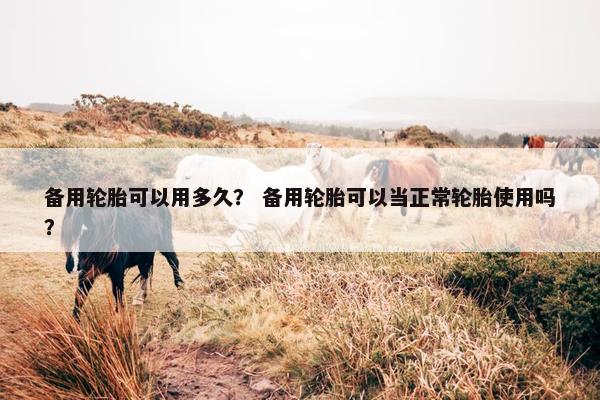 备用轮胎可以用多久？ 备用轮胎可以当正常轮胎使用吗？