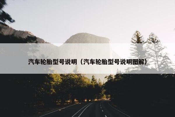 汽车轮胎型号说明（汽车轮胎型号说明图解）