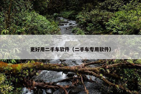 更好用二手车软件（二手车专用软件）