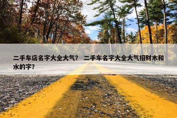 二手车店名字大全大气？ 二手车名字大全大气招财木和水的字？