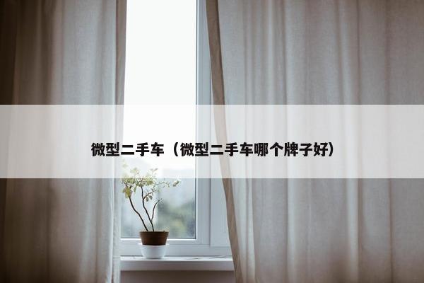 微型二手车（微型二手车哪个牌子好）