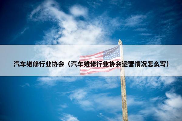 汽车维修行业协会（汽车维修行业协会运营情况怎么写）