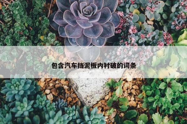 包含汽车挡泥板内衬破的词条