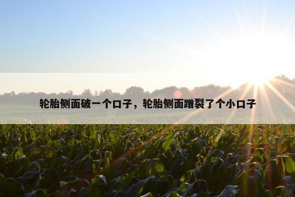 轮胎侧面破一个口子，轮胎侧面蹭裂了个小口子