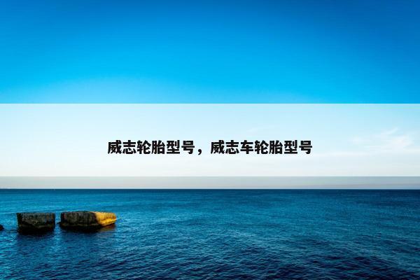威志轮胎型号，威志车轮胎型号