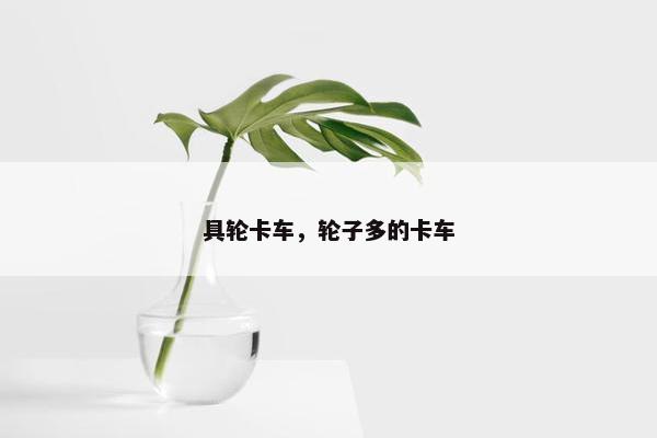 具轮卡车，轮子多的卡车