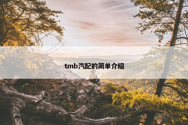tmb汽配的简单介绍