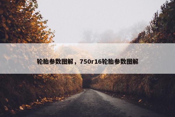 轮胎参数图解，750r16轮胎参数图解