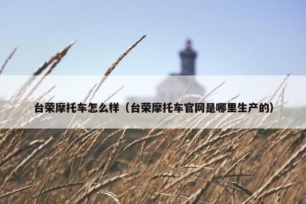 台荣摩托车怎么样（台荣摩托车官网是哪里生产的）