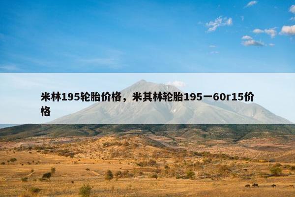 米林195轮胎价格，米其林轮胎195一60r15价格