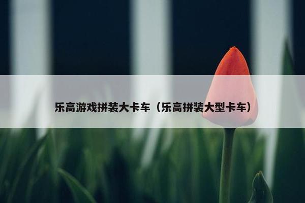 乐高游戏拼装大卡车（乐高拼装大型卡车）