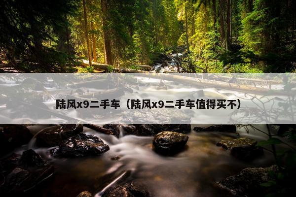 陆风x9二手车（陆风x9二手车值得买不）