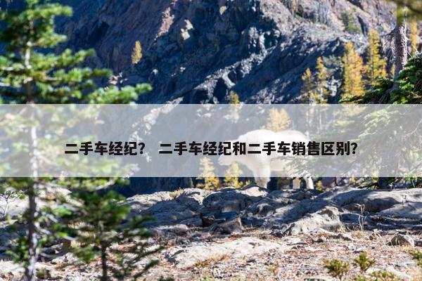 二手车经纪？ 二手车经纪和二手车销售区别？