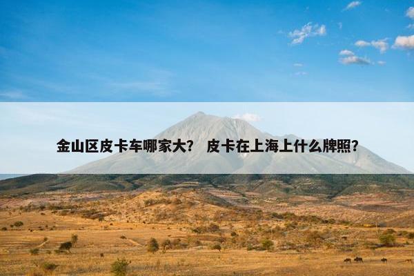 金山区皮卡车哪家大？ 皮卡在上海上什么牌照？