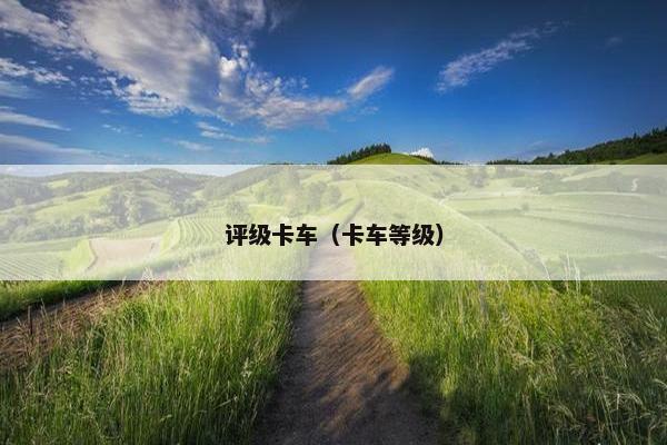 评级卡车（卡车等级）