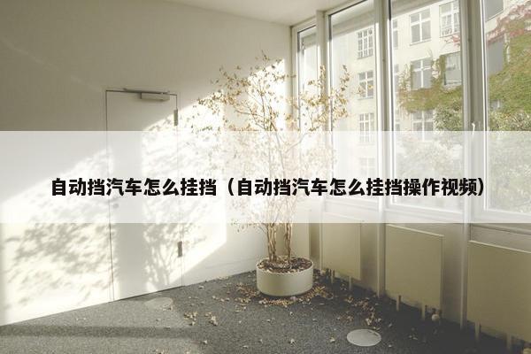 自动挡汽车怎么挂挡（自动挡汽车怎么挂挡操作视频）