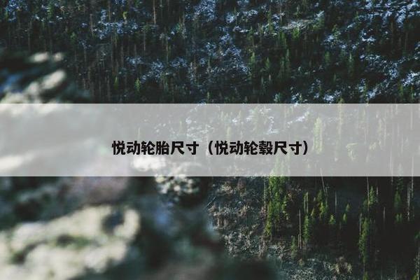 悦动轮胎尺寸（悦动轮毂尺寸）
