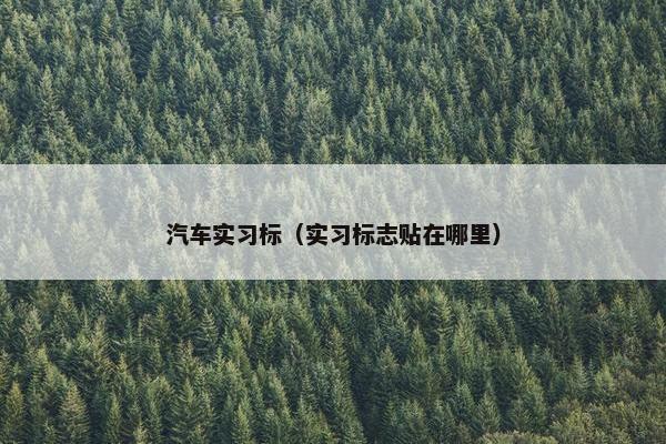 汽车实习标（实习标志贴在哪里）