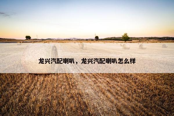 龙兴汽配喇叭，龙兴汽配喇叭怎么样