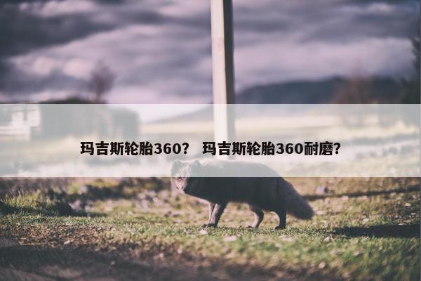 玛吉斯轮胎360？ 玛吉斯轮胎360耐磨？