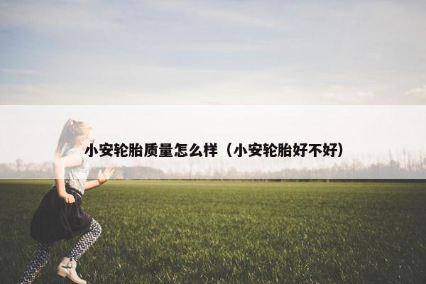 小安轮胎质量怎么样（小安轮胎好不好）