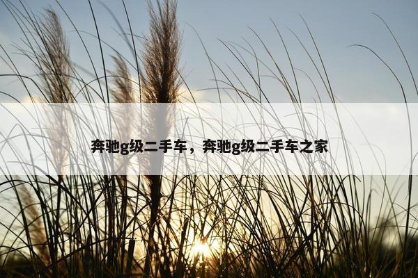 奔驰g级二手车，奔驰g级二手车之家