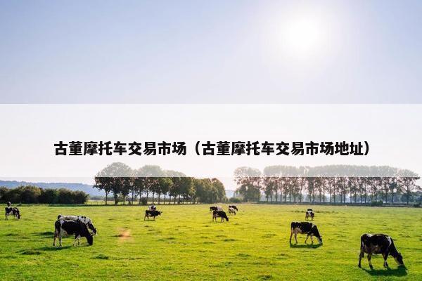 古董摩托车交易市场（古董摩托车交易市场地址）