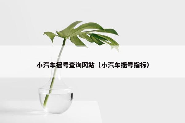 小汽车摇号查询网站（小汽车摇号指标）