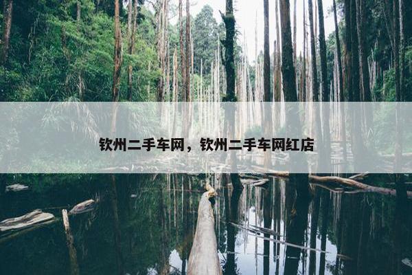 钦州二手车网，钦州二手车网红店