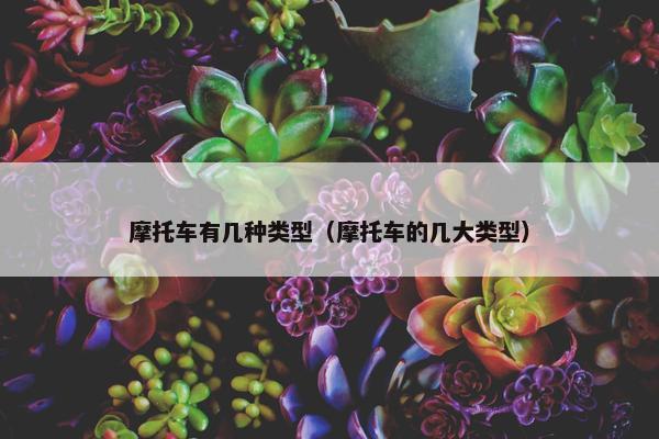摩托车有几种类型（摩托车的几大类型）