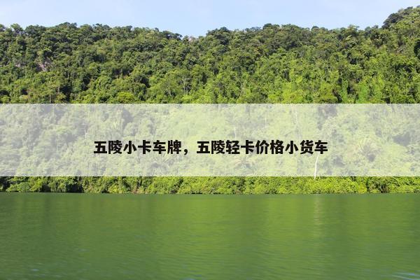 五陵小卡车牌，五陵轻卡价格小货车
