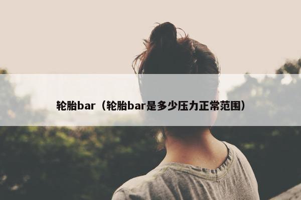 轮胎bar（轮胎bar是多少压力正常范围）