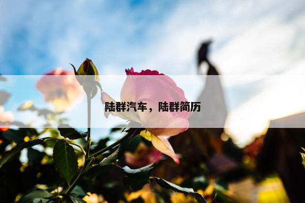 陆群汽车，陆群简历