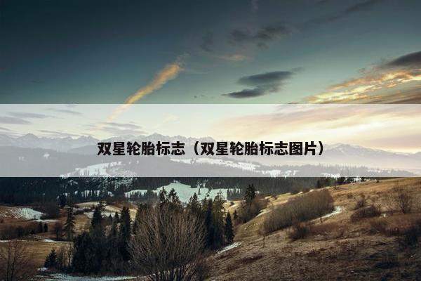 双星轮胎标志（双星轮胎标志图片）