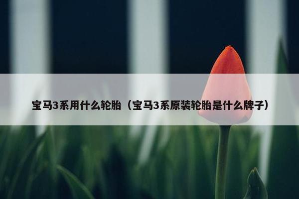 宝马3系用什么轮胎（宝马3系原装轮胎是什么牌子）