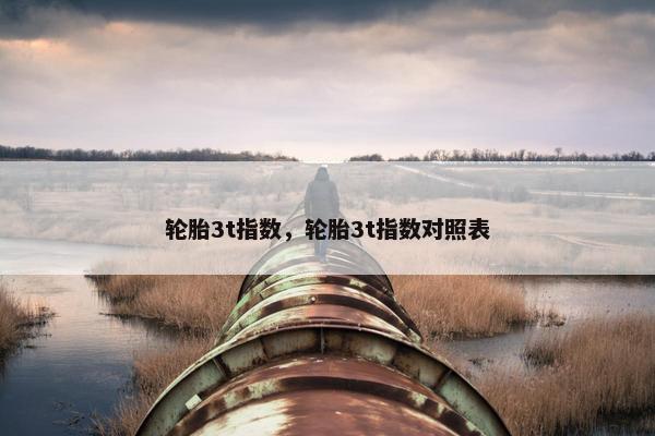 轮胎3t指数，轮胎3t指数对照表