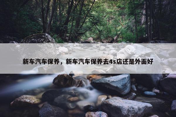 新车汽车保养，新车汽车保养去4s店还是外面好