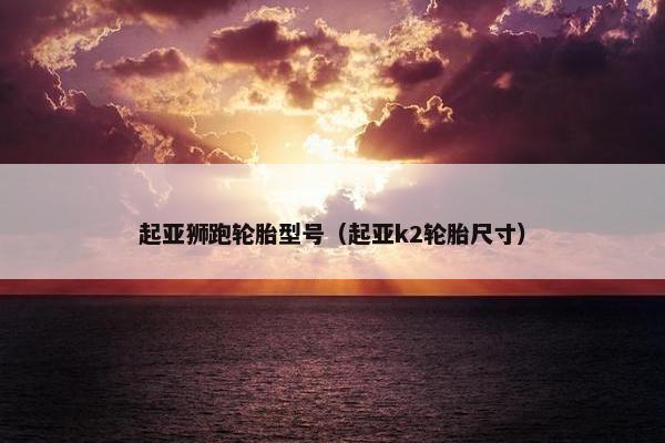 起亚狮跑轮胎型号（起亚k2轮胎尺寸）