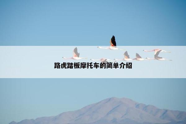 路虎踏板摩托车的简单介绍