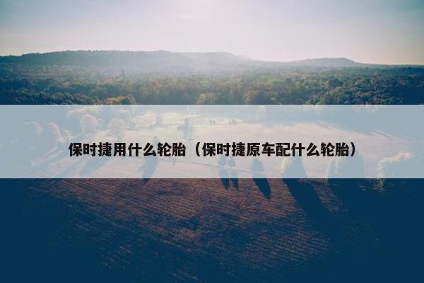 保时捷用什么轮胎（保时捷原车配什么轮胎）
